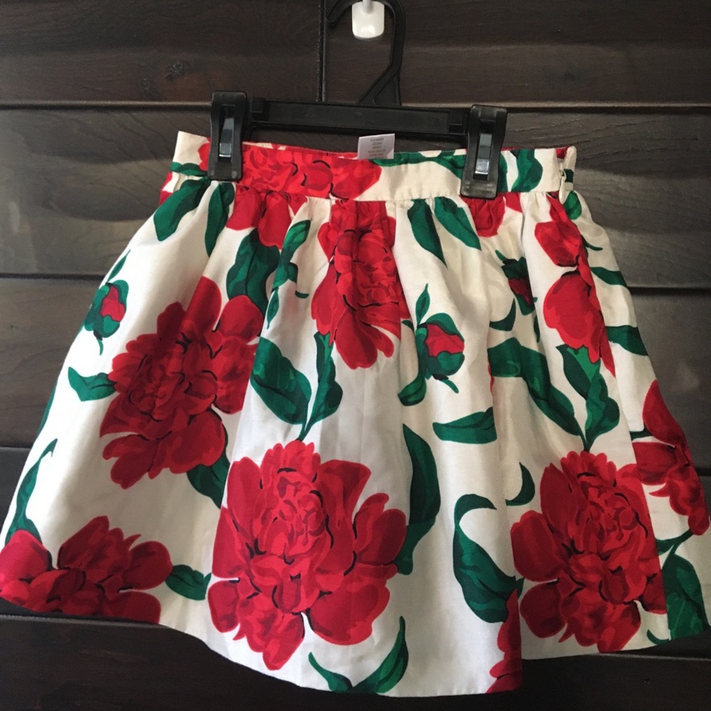 Skirt